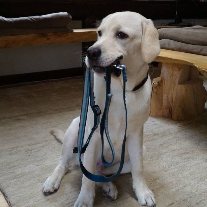 9276170a 612f 44a8 a3ae 50278b63b143