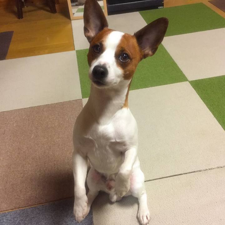 92765f1e f58e 46fd ae53 d27424464718