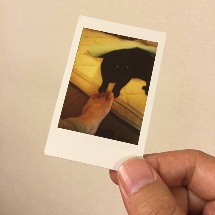 9276cc9e 9a65 41dd aecd cf8a6ad505c7