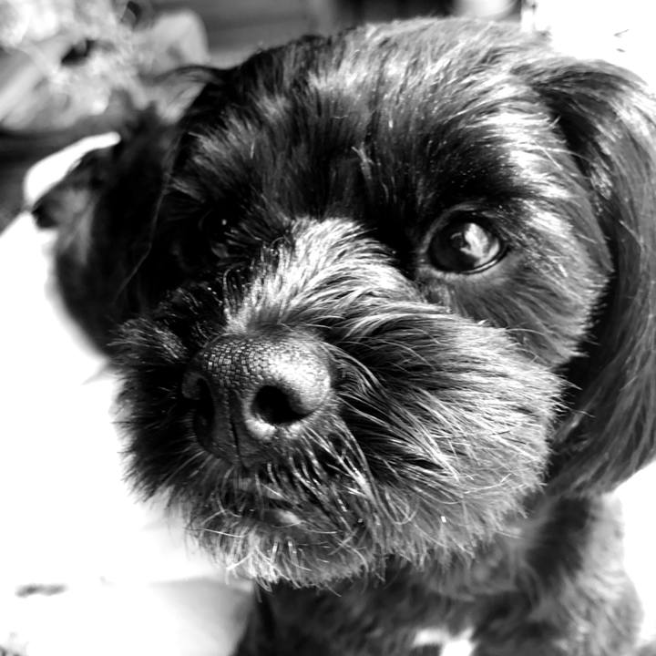 9276d36c 12f5 4f0b be5d 8ecbcfbbcb4e