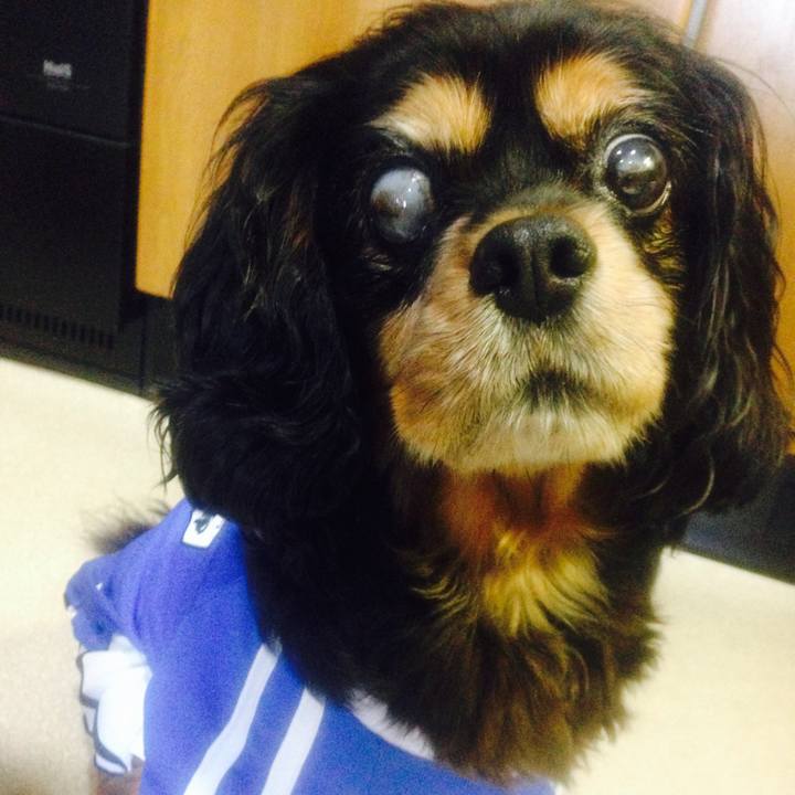 92771f16 6efa 4f46 8990 cfdb363bd3cf