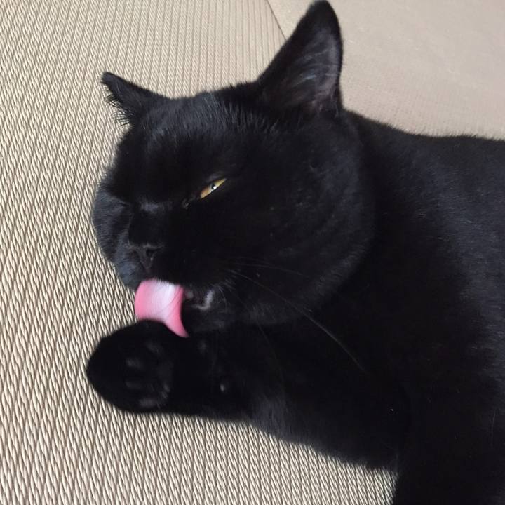 92773122 bfe0 4b04 be6f 49b782b0fcf5