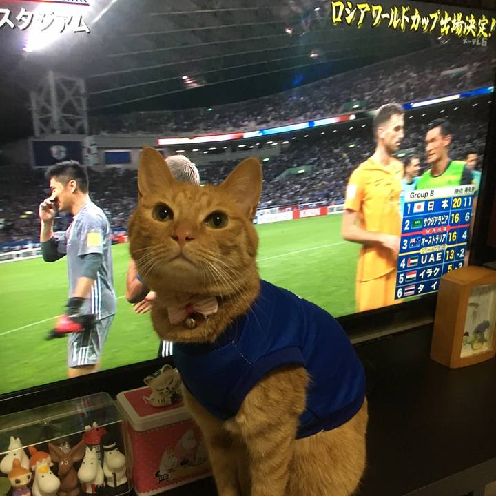 9277494e 94e1 46a0 a406 6f4550246943