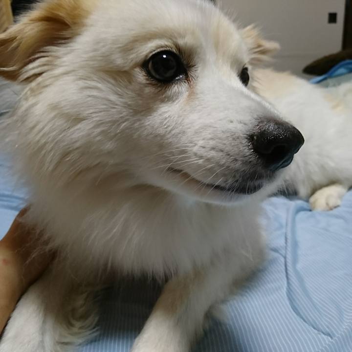 9278058e 5bdc 44a8 8a5a cfc8c747c509