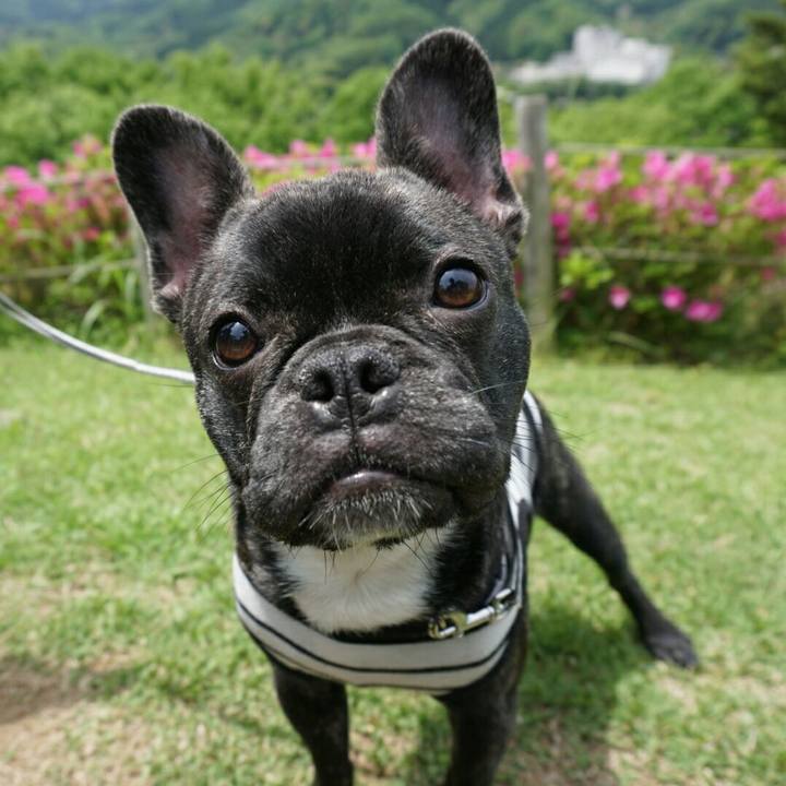 92782f63 430c 4afd 804f 0ae583804122