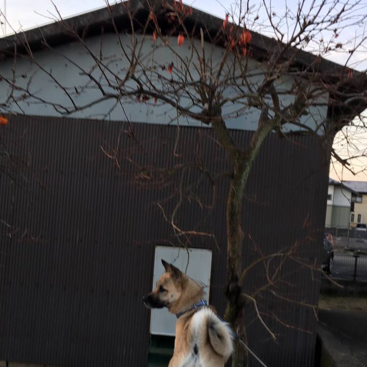 92793c58 69f9 4041 babe f795b4c51590