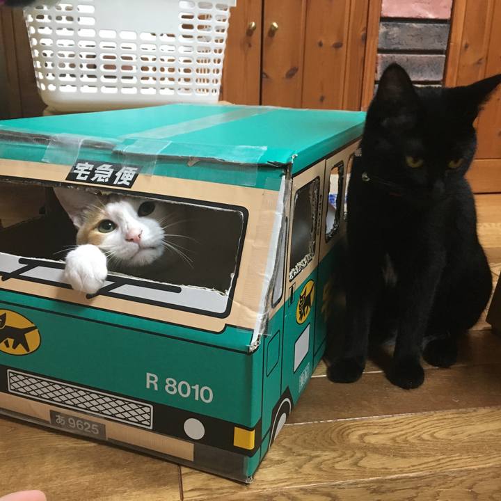 927975d9 4707 41ee bfb8 c4729f9b0a5c