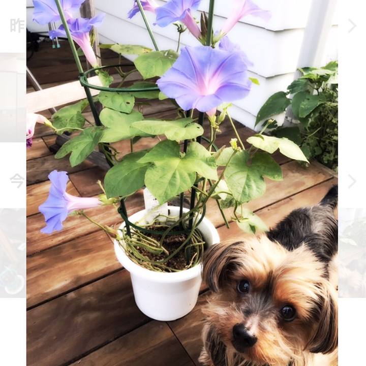 927a09ac 9a2d 43ff bb88 7094043a2b63