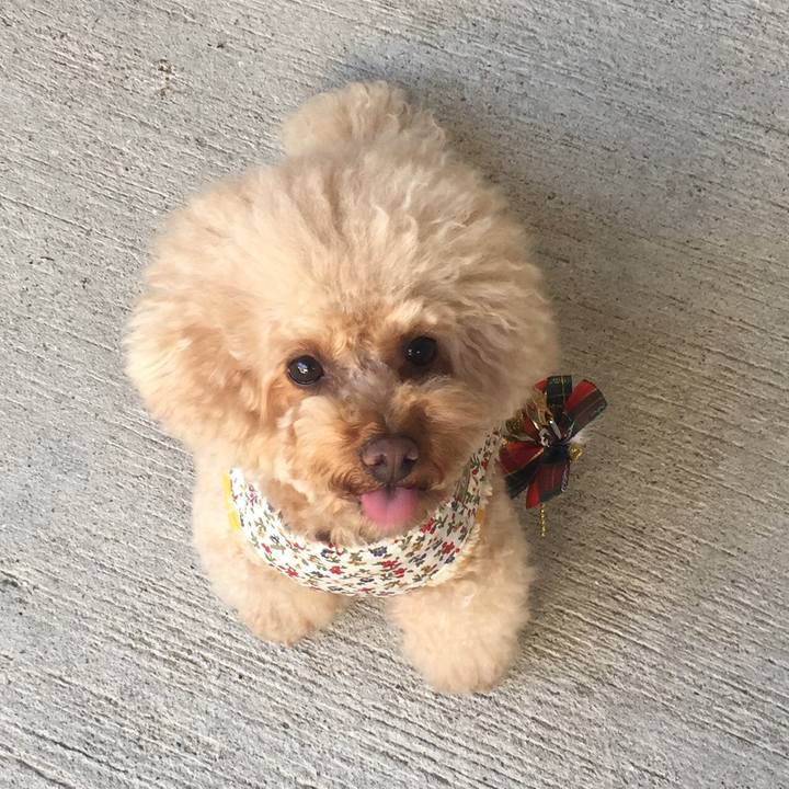 927a434e 5a1a 49a9 a81a 2019122bd670