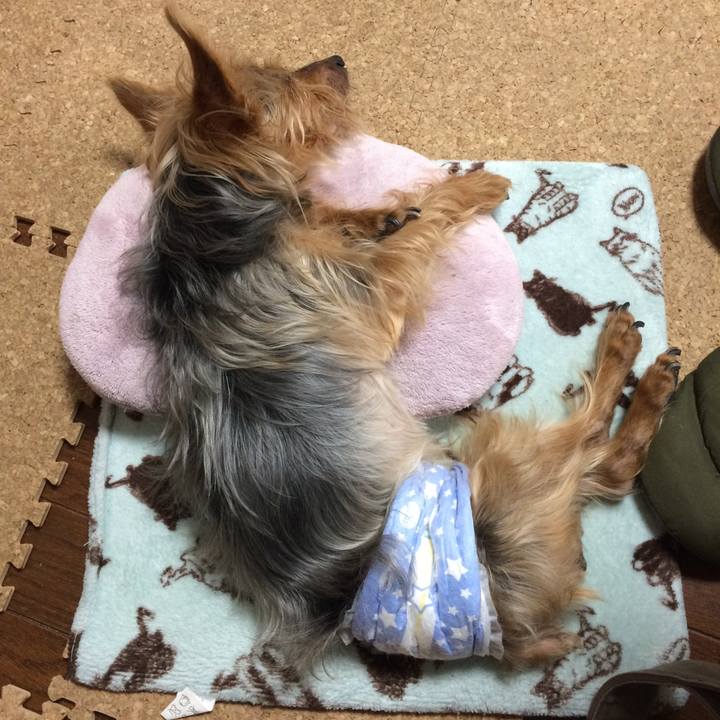 927a9b95 49a3 411a a464 5d9848bffc77