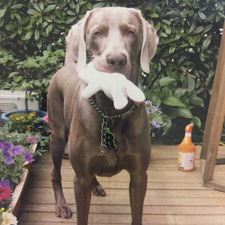 927ac2c6 b010 4688 b8c4 ab2c764a7c19