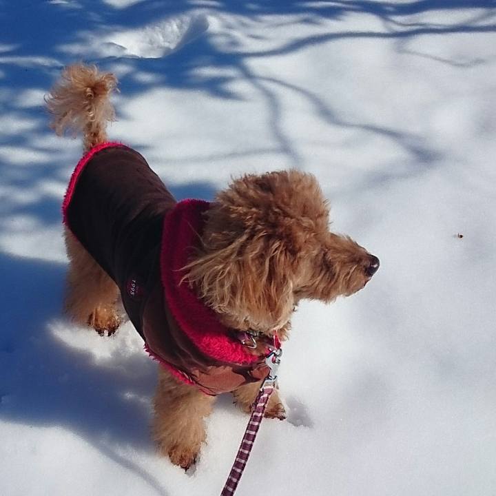 927add25 b522 4c61 be0e 7a3a0f22077e