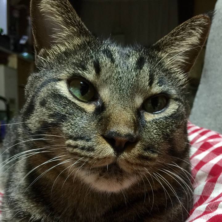 927b079d 45d2 4600 83f2 6782a3a1512f