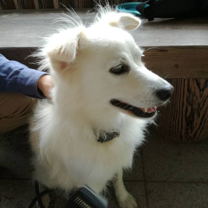 927b590a c2ff 4bef 845d b200fb444e32