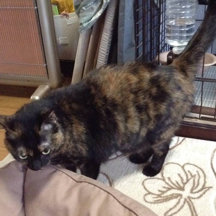 927c0266 84b3 4a0c 9b36 1e97ee92c794