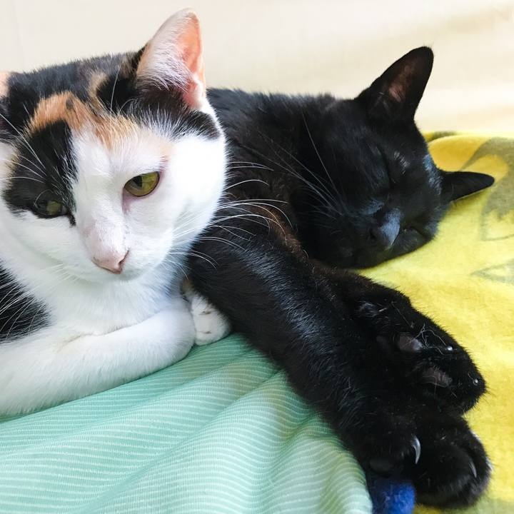 927c1a45 27dd 488e aedb ce80908971e3