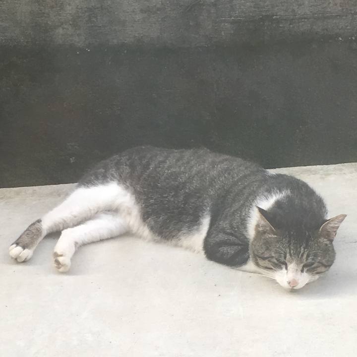 927c3b00 a700 4e7e a57e 47904c042eab