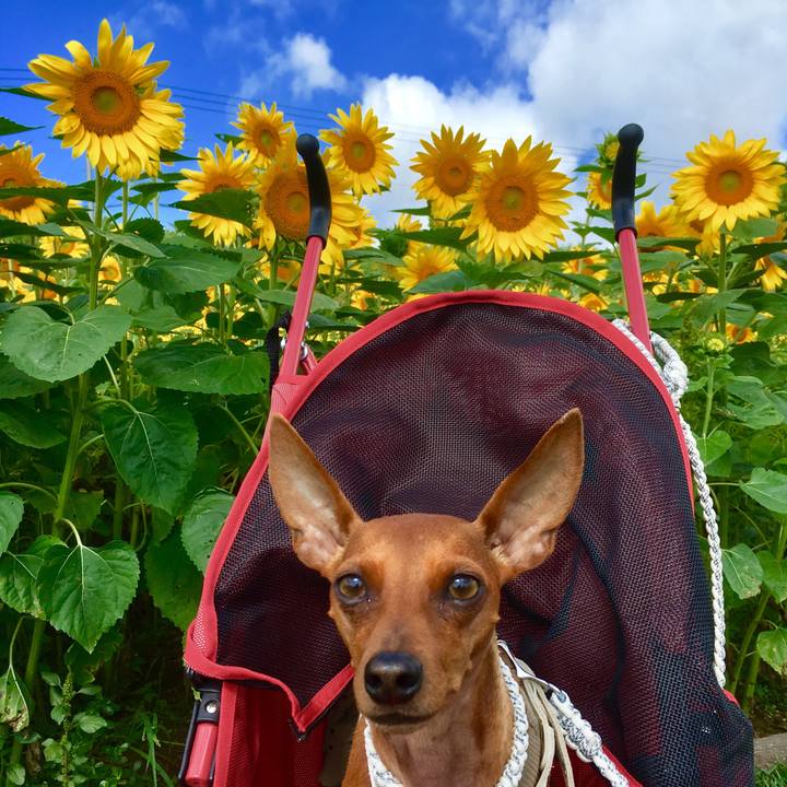 927ce2ef 9ad9 4052 ae76 e18d1614f0a0