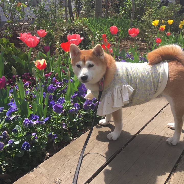 927d54d5 3fe0 4705 b13f 49607a9991cd