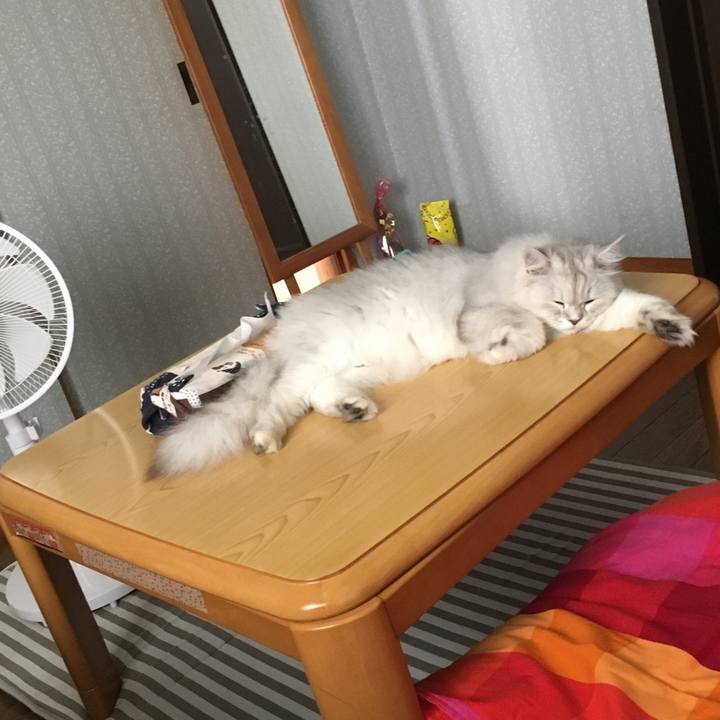 927d56d9 7974 4160 9f9d 25d05ca32cb5