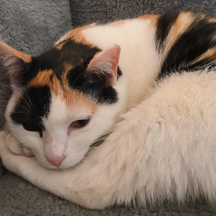 927d8df5 6641 41ce b5b9 be9bd82b665d