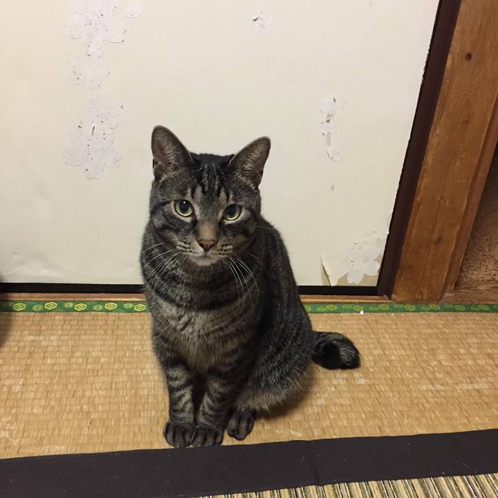 927db79f 4a0d 4d80 a71b 01cf1d17de65