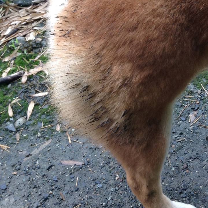 927dce81 1e94 404c bac8 d41f18b5fad2