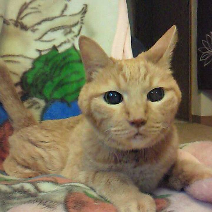 927e23a7 a3d0 4c6e 80c5 26b48aa4bc60