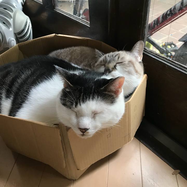 927eac44 5371 4452 b251 15b5af19a35b