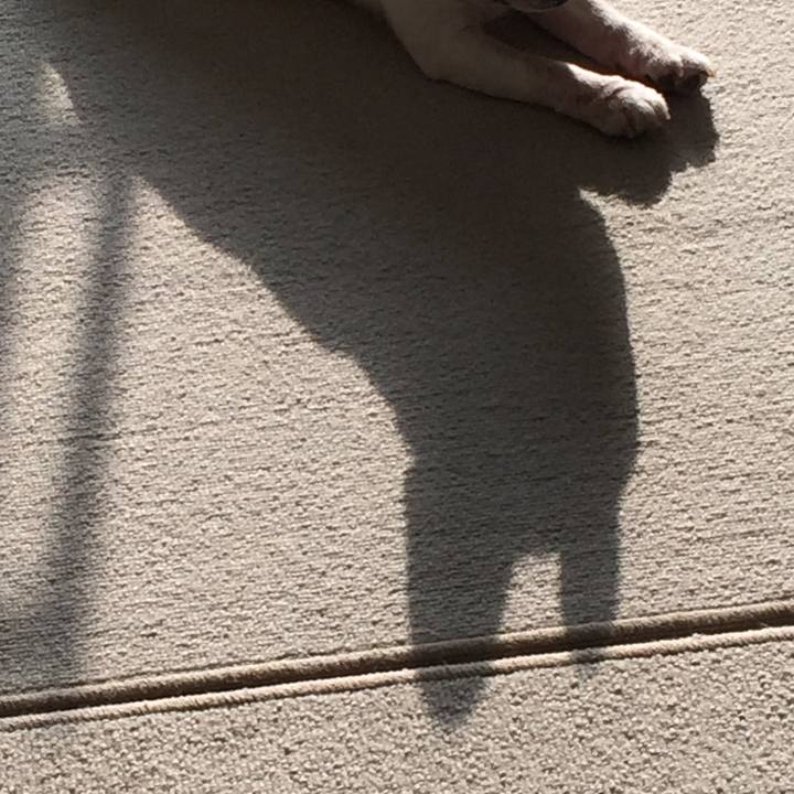 927eac7a 7e3b 4955 b91c 52b6851d6889