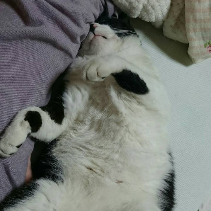 927eddbc 0fd3 4b87 8171 f8b29245a55b