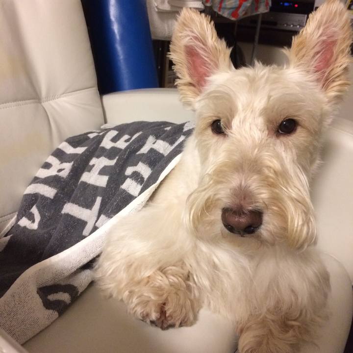 927f1fff b14f 4a84 8b88 9abdca9877b6