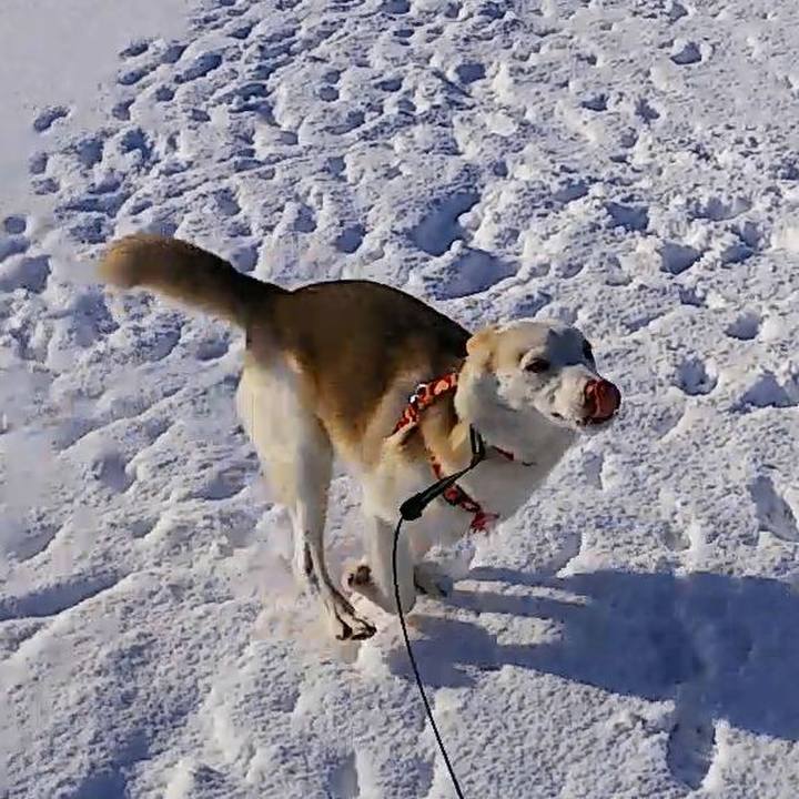 927f7034 2c15 44e5 a9a2 1fd64e8da9b8