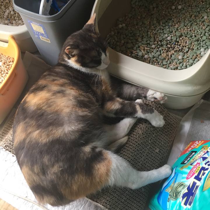 927fb15c b867 4e73 aae8 6639279824f0