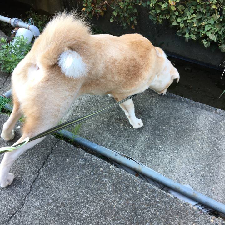 92802aeb 1bfe 4b17 9239 1099ffd543b5