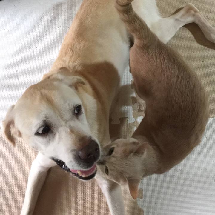 9280c20f 7380 4016 8d92 b2a7c0df19d0