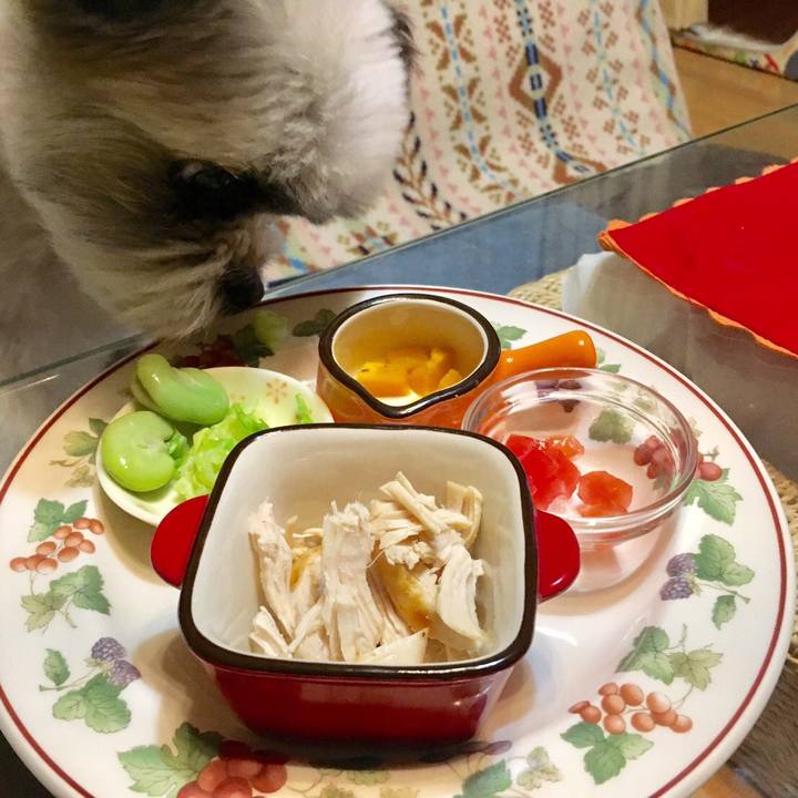 92815ab6 d8bf 4259 87ab 6bda16f863c6