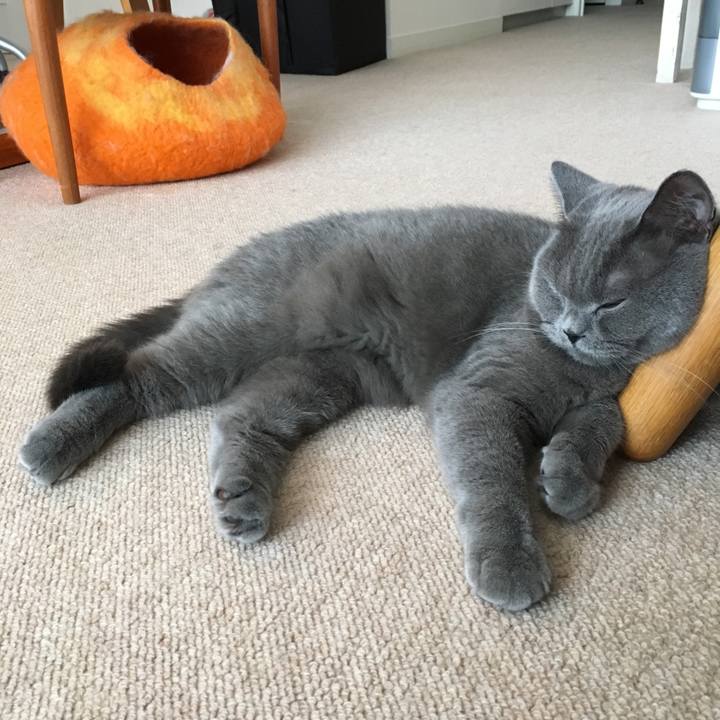 928193b4 48de 45d0 ad0c bdcab9a8e1c9