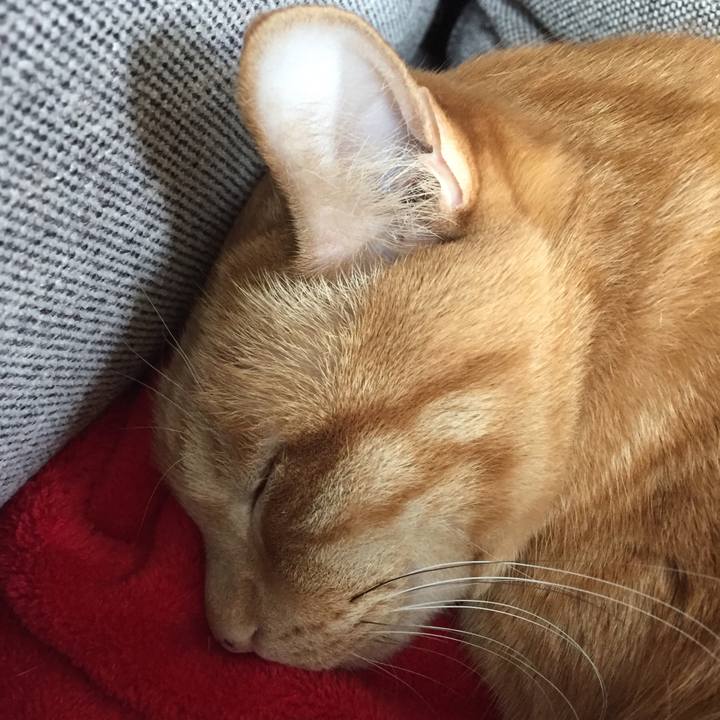 928284e1 91db 48eb a05a c5975ba69515