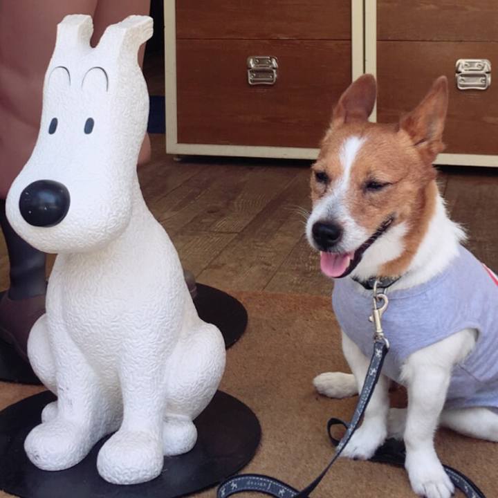 92831e42 d0bf 442c b01f 166d814034ad