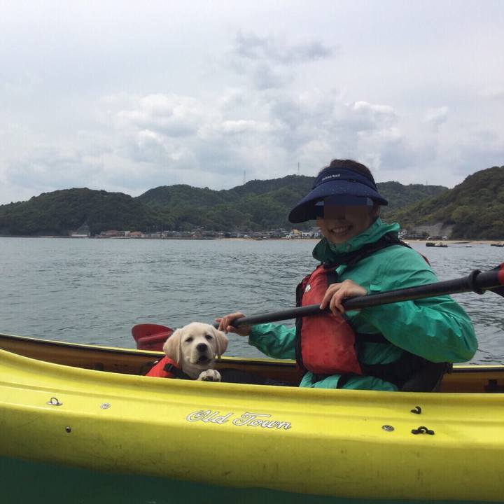 92842509 af47 4a4e b0be 1b3edaae3bed