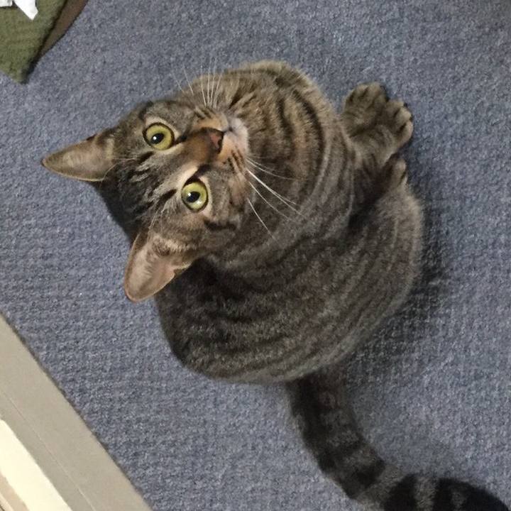 9284313a d6c0 47c5 ab4c ec3672840bd2