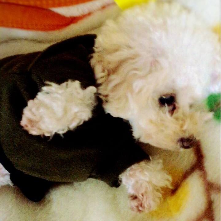 9284ee05 91c1 4253 8a61 9178365f6caa