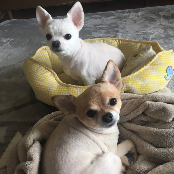 92852660 f2b6 466b 876b 01712962fa62