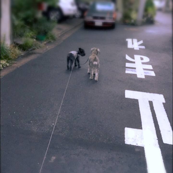 928581cd a1ba 4c43 ade6 dcac0ceb8b94