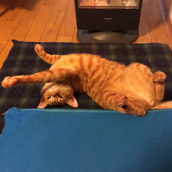 928598ed f4da 4a94 8c1e 42dc790fc201