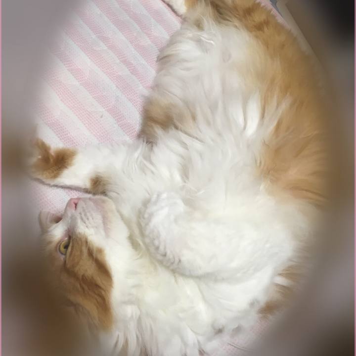 92862e96 77e5 442e b643 537ac07ab668