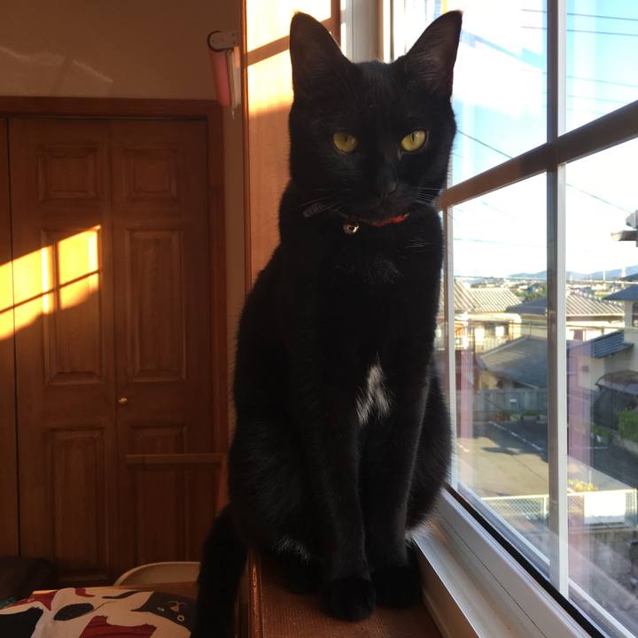 92866868 e335 4c0f 8873 c369e7016a99