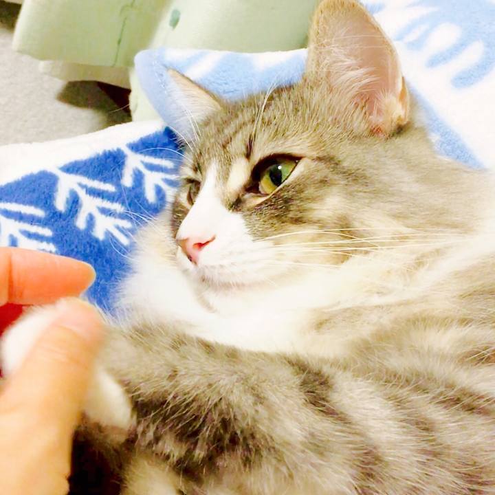 9286c072 fa64 4e87 b9c9 2766fb881c5a