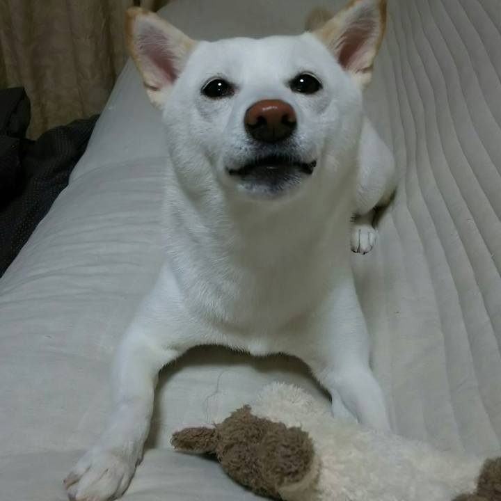 9287d6a5 9a9e 49d0 a86a 57e55163b19e